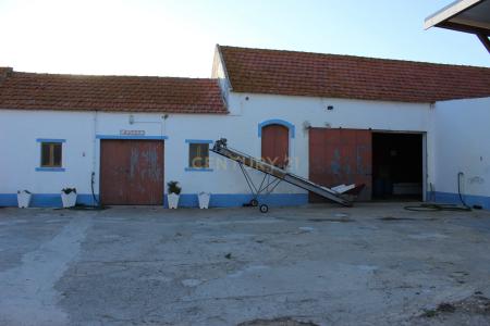 Palmela, Setubal 2965, Portugal