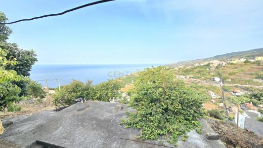 Ribeira Brava, Madeira 9350-145, Bồ Đào Nha