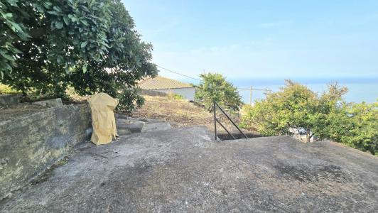 Ribeira Brava, Madeira 9350-145, Bồ Đào Nha