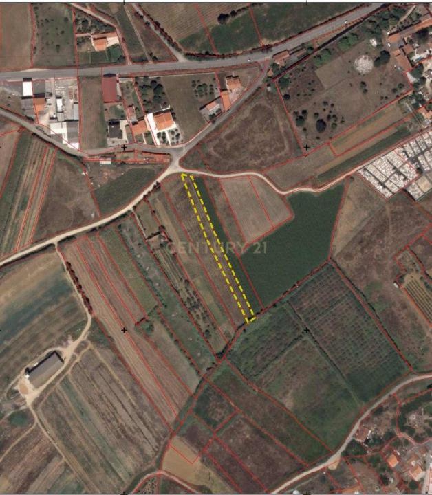 Peniche, Leiria 2525, Portogallo