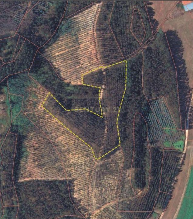 Peniche, Leiria 2525, Portugalia