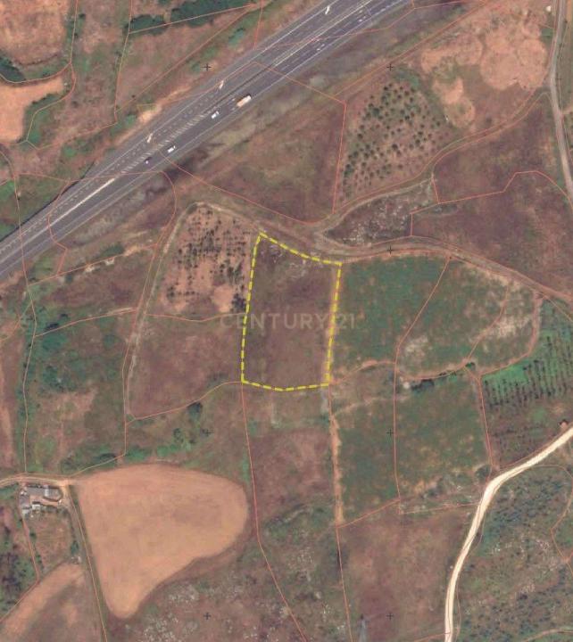 Peniche, 莱里亚 2525, 葡萄牙