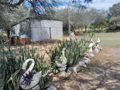 Loma plata , Loma Plata, Boquerón 00001, Paraguay