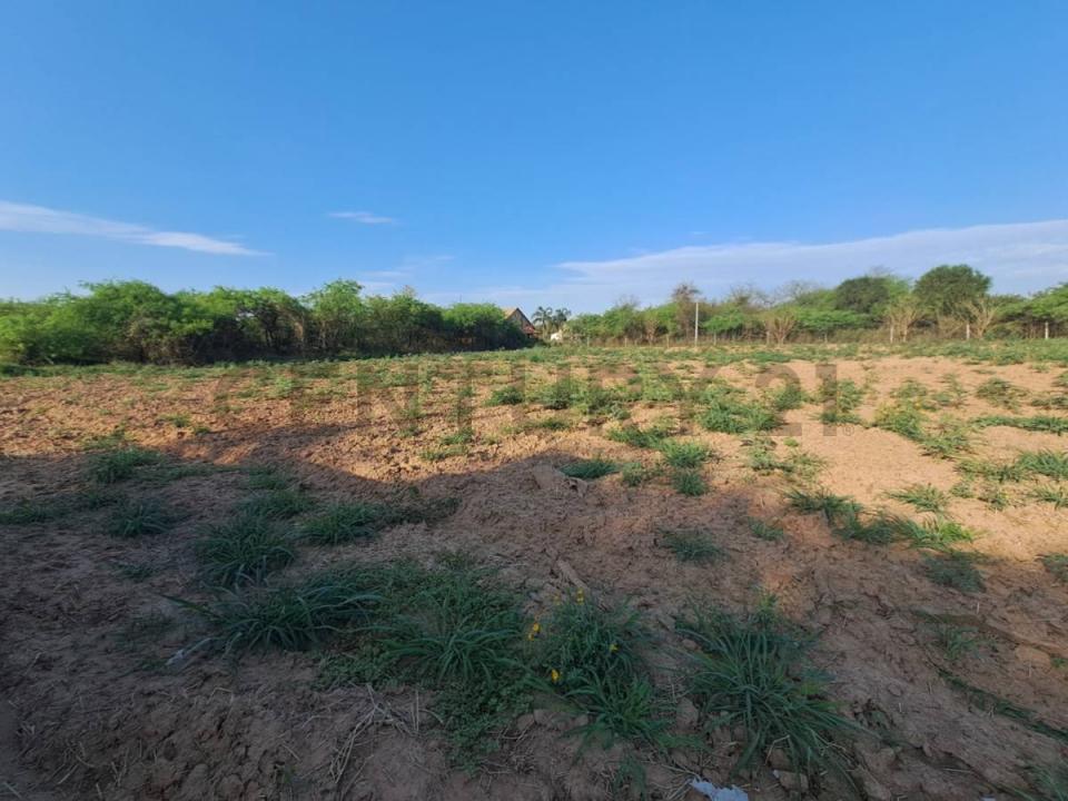 Loma Plata, Boquerón 00001, 파라과이