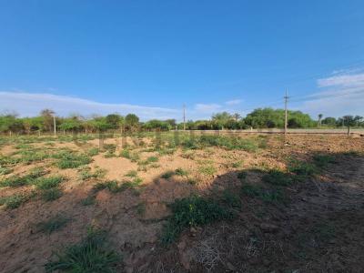 Loma Plata, Boquerón 00001, 파라과이