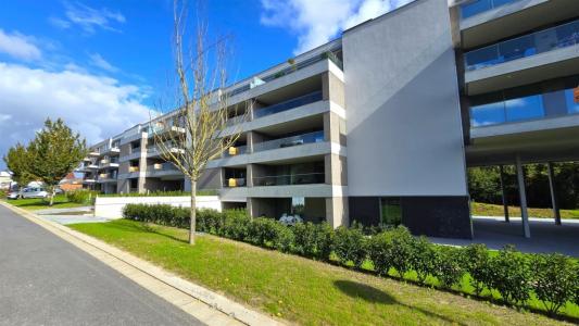 Binnenweg 24 0101, Avelgem, Belgio