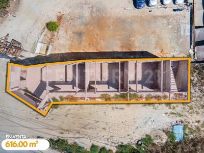 Tijuana, Baja California 22034, Mexico