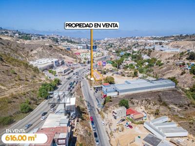 Tijuana, Baja California 22034, Mexico