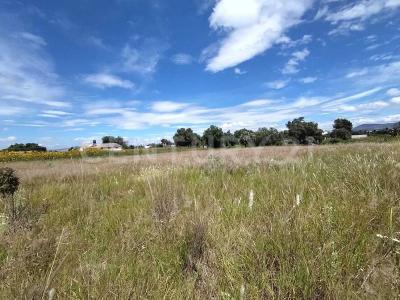 Texcoco, Estado De Mexico 56240, Mexico