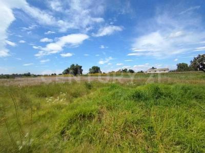 Texcoco, Estado De Mexico 56240, Mexico