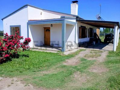 San Rafael, Mendoza 5600, Argentina