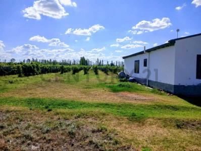 San Rafael, Mendoza 5600, Argentina