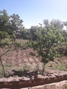 Sucre, Chuquisaca 0000, Bolivia