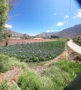 Mecapaca, La Paz 00001, Bolivia