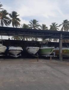 Chichiriviche, Falcón 2061, 委内瑞拉