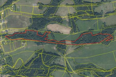 Nový Jičín, Nový Jičín, Repubblica Ceca