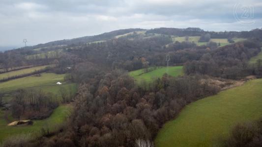 Nový Jičín, Nový Jičín, Repubblica Ceca