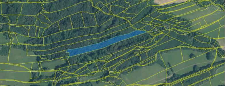 Nový Jičín, Nový Jičín, צ'כיה 