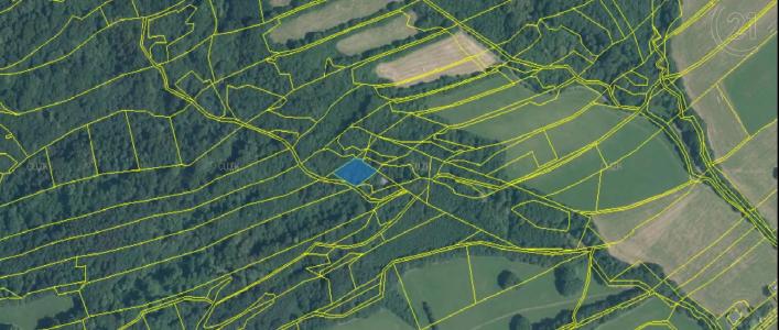 Nový Jičín, Nový Jičín, צ'כיה 