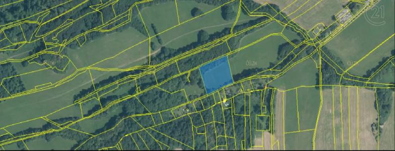 Nový Jičín, Nový Jičín, צ'כיה 