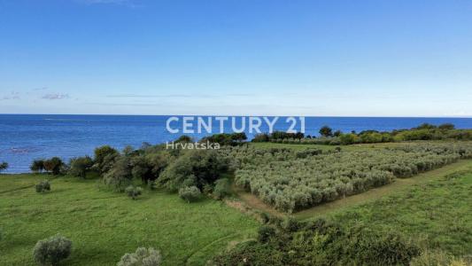 Umag, Umag, Istarska Županija 52470, Croatie