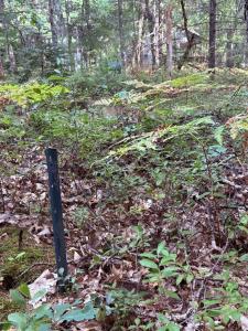 00 S Shady Grove Dr., Baldwin, Michigan 49304, Stati Uniti