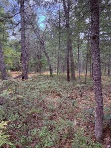 00 S Shady Grove Dr., Baldwin, Michigan 49304, Stati Uniti