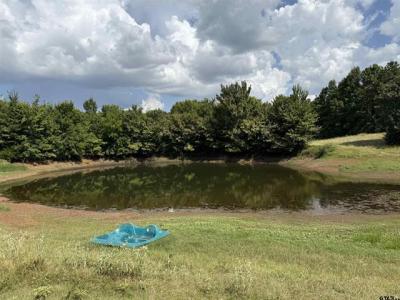 TBD CR 3307 - 5 acres, Jacksonville, Texas 75766, USA
