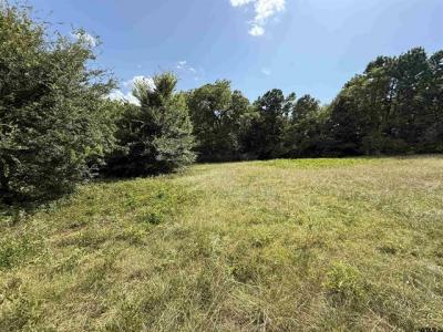 TBD CR 3307 - 5 acres, Jacksonville, Texas 75766