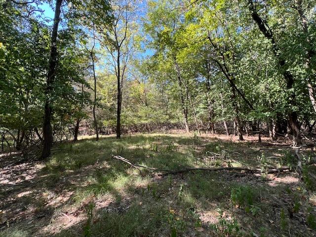 000 Barnett Avenue, Carterville, 伊利诺斯州 62918, 美国