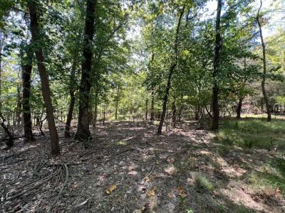 000 Barnett Avenue, Carterville, 伊利诺斯州 62918, 美国