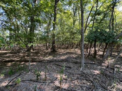 000 Barnett Avenue, Carterville, 伊利诺斯州 62918, 美国