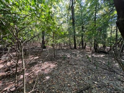 000 Barnett Avenue, Carterville, 伊利诺斯州 62918, 美国