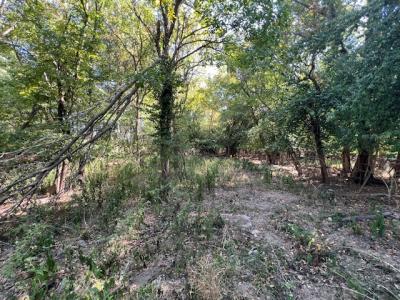 000 Barnett Avenue, Carterville, 伊利诺斯州 62918, 美国