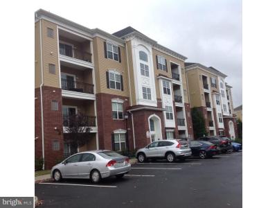 1321 Sierra Drive, 汉密尔顿, 新泽西州 08619, 美国