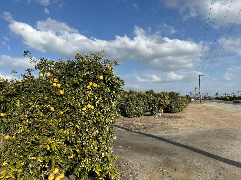 Highway 65 Highway 65 Citrus Ranch, Ducor, קליפורניה 93218, ארצות הברית של אמריקה 