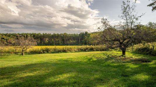 W11933 Vold Road, Osseo, Wisconsin 54758, États-Unis