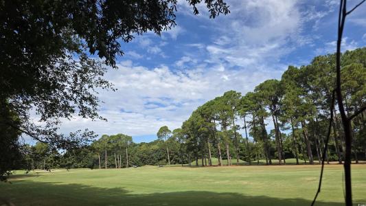 1008 Maccoa Dr., Conway, South Carolina 29526