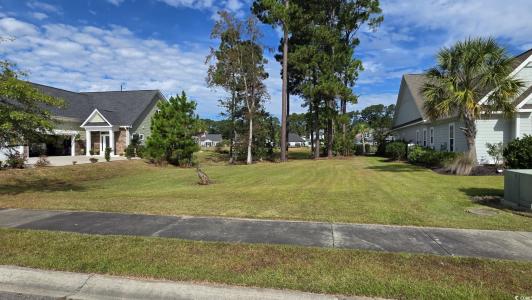 1027 Clamour Ct., Conway, South Carolina 29526