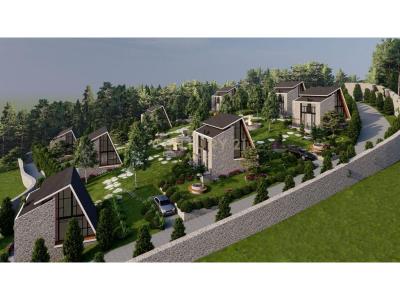 Bërzhitë, Tirana, Albania