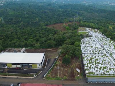 Naranjo Naranjo, アラフエラ 20602, コスタリカ