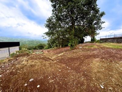 Naranjo Naranjo, アラフエラ 20602, コスタリカ