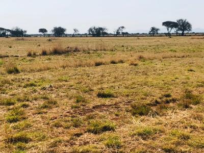 Bela Bela, Limpopo, Sudafrica