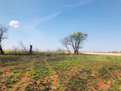 Bela Bela, Limpopo, Sudafrica