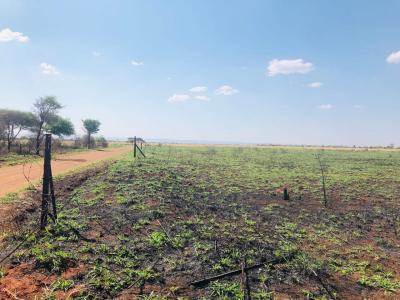 Bela Bela, Limpopo, Sudafrica