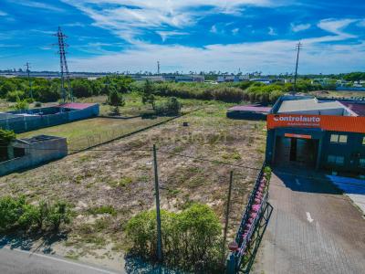 Figueira Da Foz, Coimbra 3090-380, Portugal