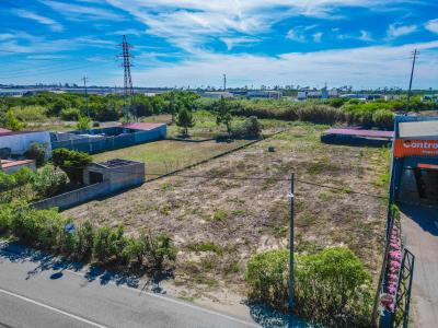 Figueira Da Foz, Coimbra 3090-380, Portugal