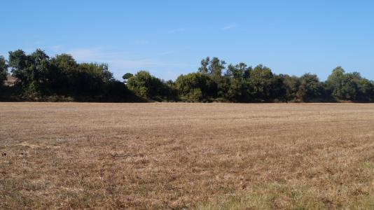 Santiago Do Cacém, Setubal 7500-018, Portugal