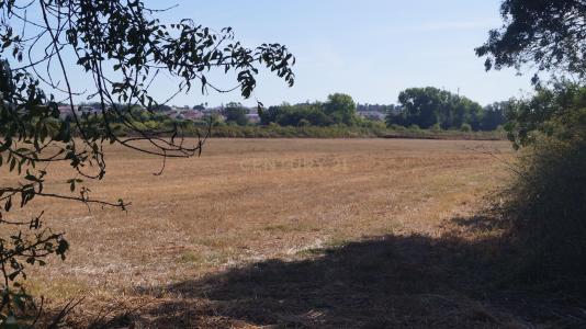 Santiago Do Cacém, Setubal 7500-018, Portogallo