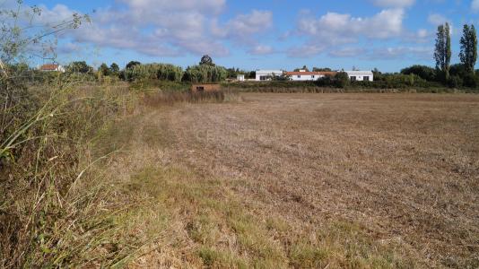 Santiago Do Cacém, Setubal 7500-018, Portogallo